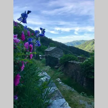 La Pellegrine, Parc National Des Cevennes