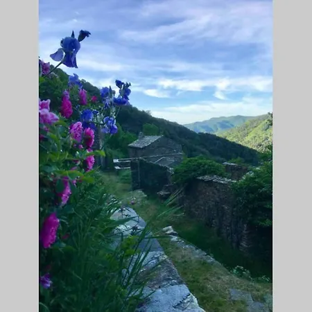 La Pellegrine, Parc National Des Cevennes