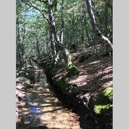 La Pellegrine, Parc National Des Cevennes *