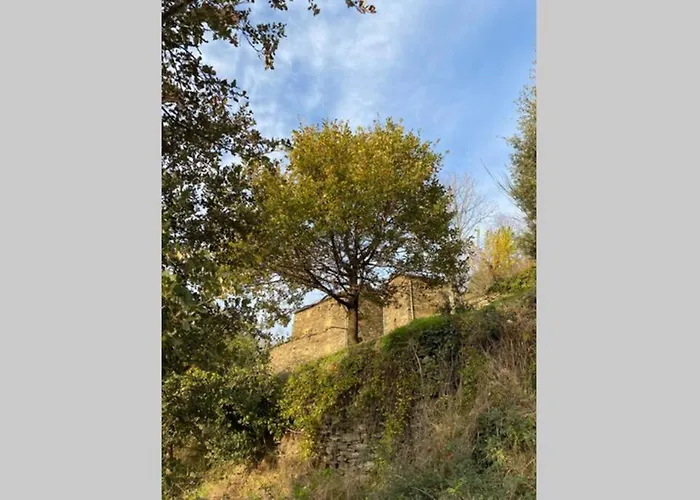La Pellegrine, Parc National Des Cevennes * Le Salson