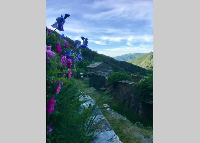 La Pellegrine, Parc National Des Cevennes
