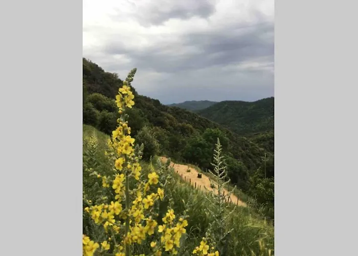 度假居 La Pellegrine, Parc National Des Cevennes *