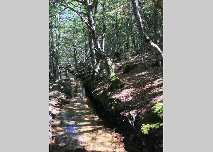 La Pellegrine, Parc National Des Cevennes *